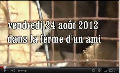 185 dans la ferme d un ami